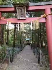 彌彦神社(新潟県)