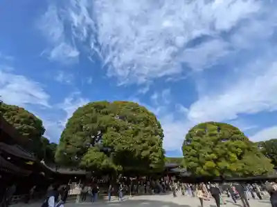 明治神宮(東京都)
