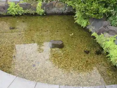 芭蕉稲荷神社(東京都)