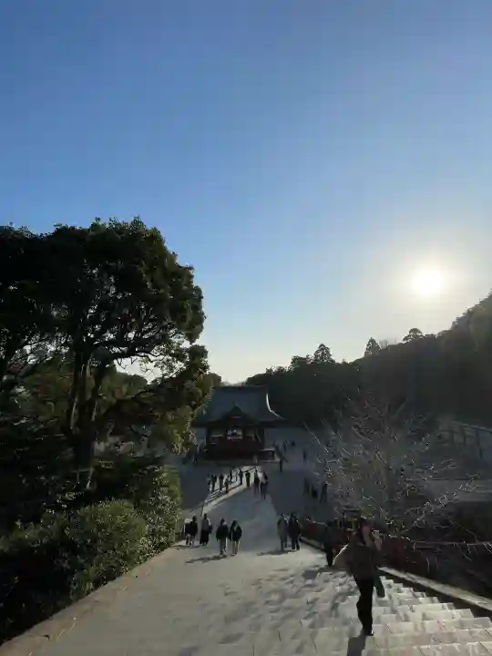 鶴岡八幡宮(神奈川県)