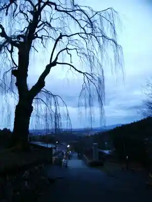 妙義神社(群馬県)