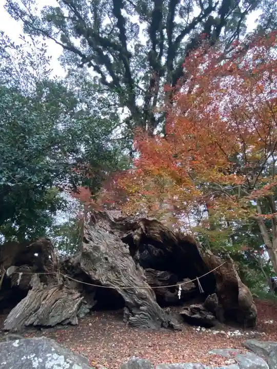 與止日女神社の自然
