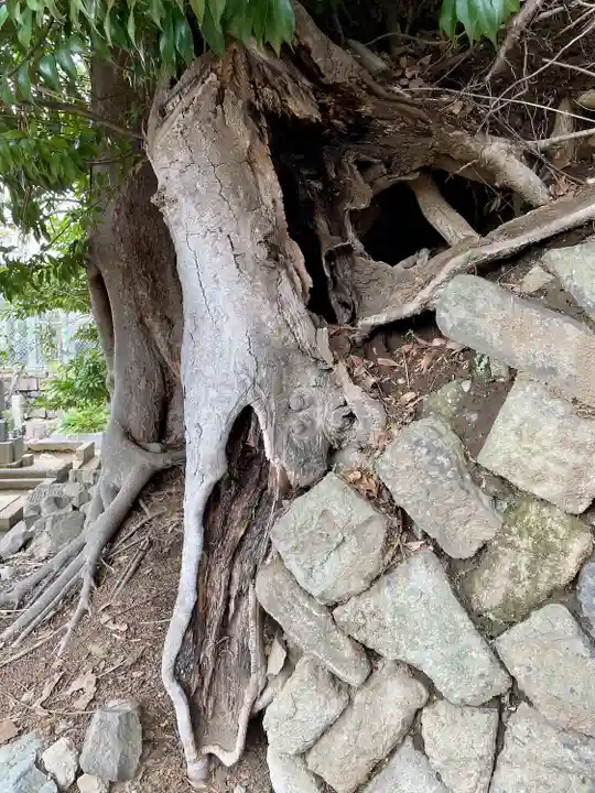 南泉寺(東京都)