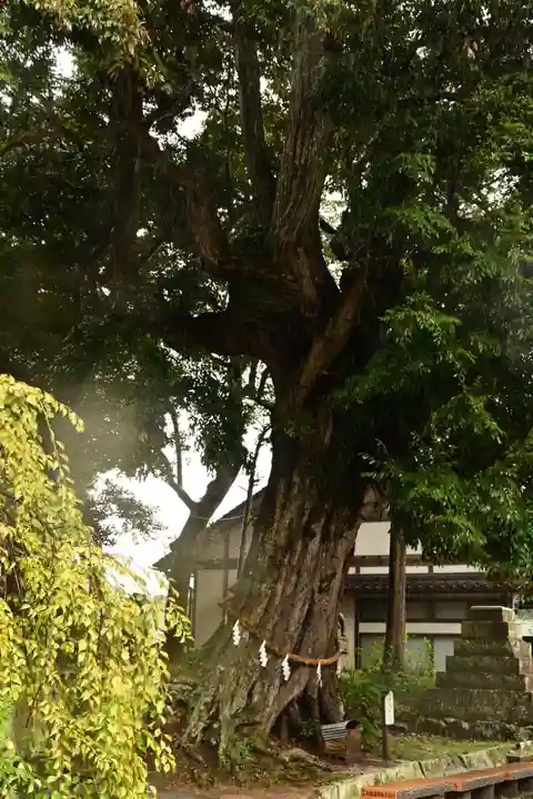 揖夜神社(島根県)