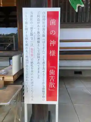 白山神社(東京都)
