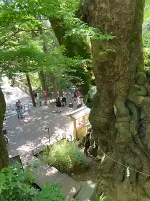 來宮神社(静岡県)