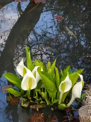 普門院（文知摺観音）(福島県)