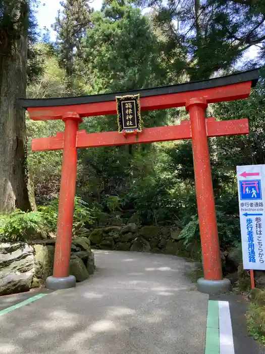 箱根神社の鳥居