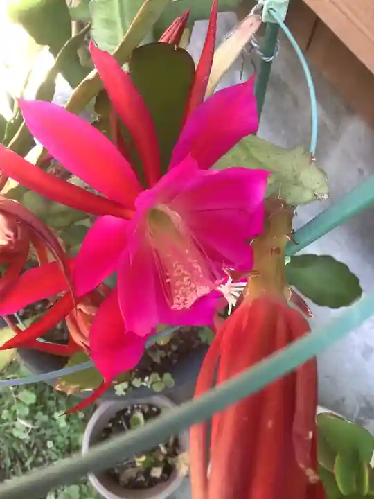 性慶院(愛知県)