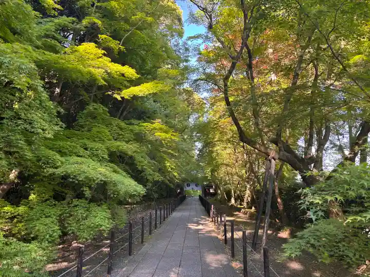 光明寺(粟生光明寺)(京都府)