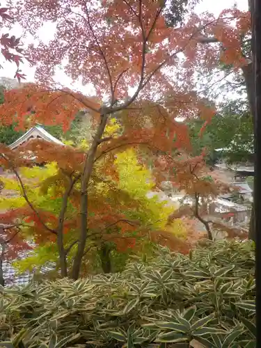 龍隠庵の景色