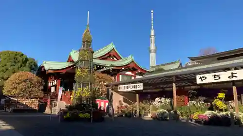 亀戸天神社(東京都)