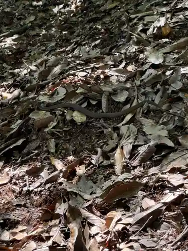 砥鹿神社（奥宮）(愛知県)