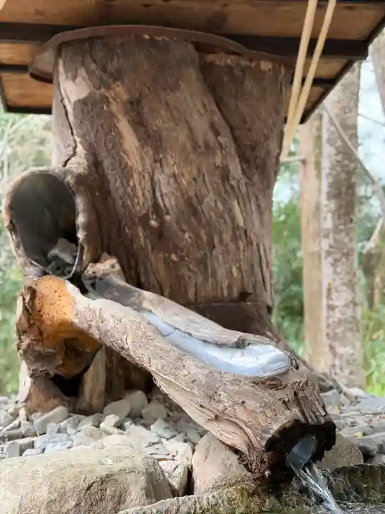賀茂御祖神社(下鴨神社)(京都府)