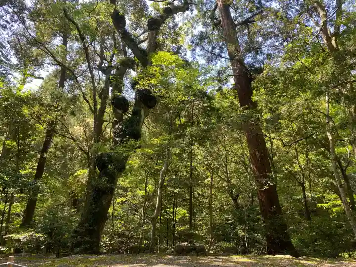 伊勢神宮内宮(皇大神宮)(三重県)