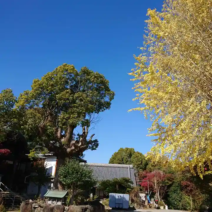 盛松寺(大阪府)