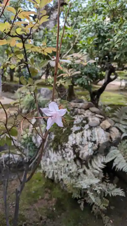 総見院(京都府)