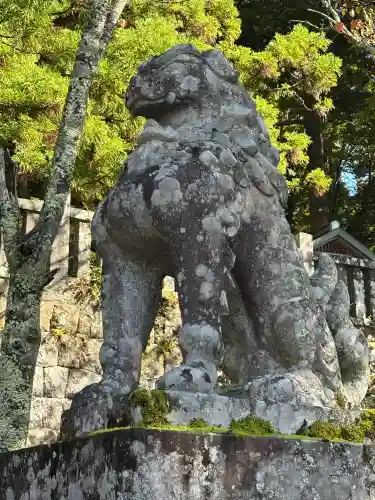 戸隠神社中社(長野県)