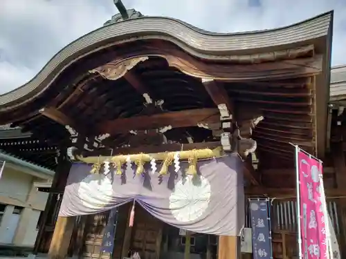 藤島神社（贈正一位新田義貞公之大宮）の本殿