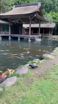 身曾岐神社(山梨県)