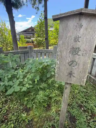 諏訪大社上社前宮(長野県)