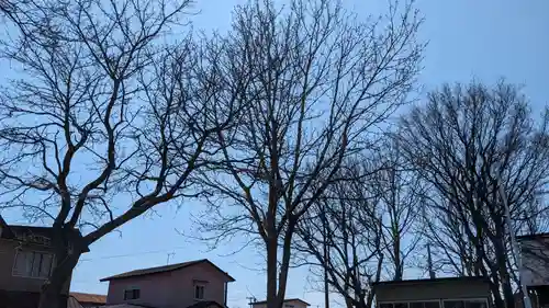 根室出雲神社の自然
