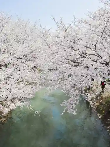 長建寺(京都府)