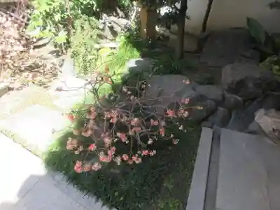 どんどろ大師善福寺(大阪府)