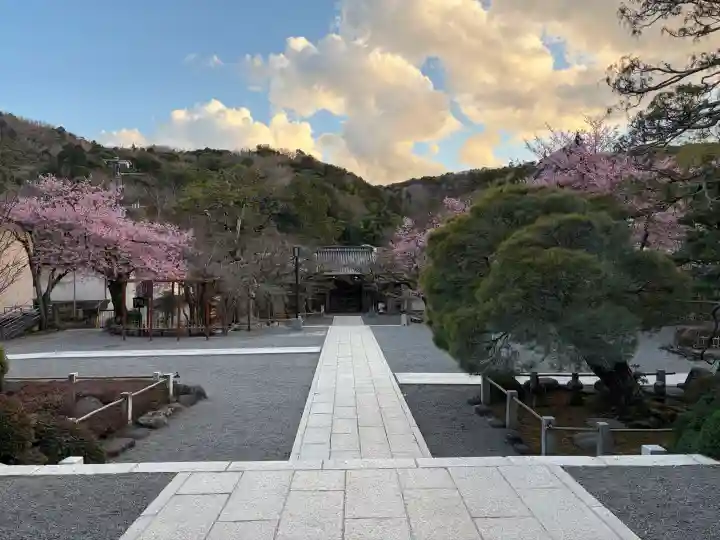 修禅寺の{uncategorized: "未分類", other: "その他", undefined: "問題あり", building: "その他建物", grave: "お墓", sacred_gate: "鳥居", guardian: "狛犬", statue: "像", buddha: "仏像", history: "歴史", nature: "自然", garden: "庭園", animal: "動物", pagoda: "塔", temizu: "手水舎", mountain_gate: "山門・神門", sanctuary: "本殿・本堂", subordinate: "末社・摂社", art: "芸術", scenery: "景色", jizo: "地蔵", ema: "絵馬", goshuin: "御朱印", omikuji: "おみくじ", items: "授与品その他", amulet: "お守り", goshuincho: "御朱印帳", eats: "食事", festival: "お祭り", votive_dance: "神楽", shichigosan: "七五三参", wedding: "結婚式", experience: "体験その他", initially: "初詣", around: "周辺", anti_infection: "感染症対策"}