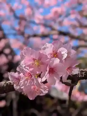 新宿下落合氷川神社(東京都)