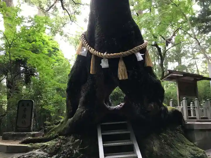 笠森寺の自然