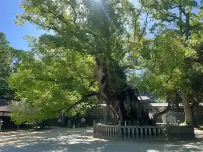 大山祇神社の{uncategorized: "未分類", other: "その他", undefined: "問題あり", building: "その他建物", grave: "お墓", sacred_gate: "鳥居", guardian: "狛犬", statue: "像", buddha: "仏像", history: "歴史", nature: "自然", garden: "庭園", animal: "動物", pagoda: "塔", temizu: "手水舎", mountain_gate: "山門・神門", sanctuary: "本殿・本堂", subordinate: "末社・摂社", art: "芸術", scenery: "景色", jizo: "地蔵", ema: "絵馬", goshuin: "御朱印", omikuji: "おみくじ", items: "授与品その他", amulet: "お守り", goshuincho: "御朱印帳", eats: "食事", festival: "お祭り", votive_dance: "神楽", shichigosan: "七五三参", wedding: "結婚式", experience: "体験その他", initially: "初詣", around: "周辺", anti_infection: "感染症対策"}