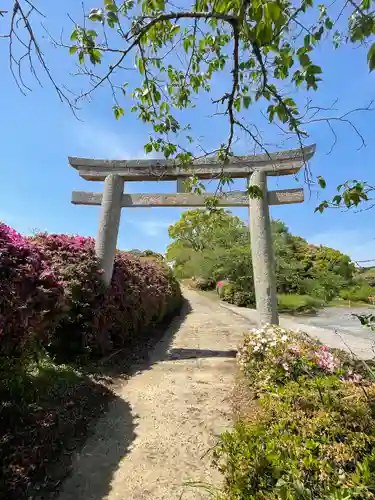 宮尾八幡宮の鳥居