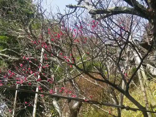 荏柄天神社の自然