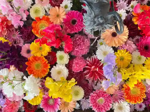 札幌諏訪神社の手水舎