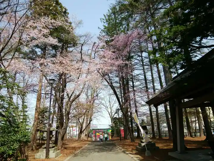 大谷地神社の景色