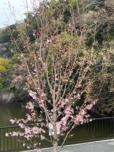 蜂田神社の{uncategorized: "未分類", other: "その他", undefined: "問題あり", building: "その他建物", grave: "お墓", sacred_gate: "鳥居", guardian: "狛犬", statue: "像", buddha: "仏像", history: "歴史", nature: "自然", garden: "庭園", animal: "動物", pagoda: "塔", temizu: "手水舎", mountain_gate: "山門・神門", sanctuary: "本殿・本堂", subordinate: "末社・摂社", art: "芸術", scenery: "景色", jizo: "地蔵", ema: "絵馬", goshuin: "御朱印", omikuji: "おみくじ", items: "授与品その他", amulet: "お守り", goshuincho: "御朱印帳", eats: "食事", festival: "お祭り", votive_dance: "神楽", shichigosan: "七五三参", wedding: "結婚式", experience: "体験その他", initially: "初詣", around: "周辺", anti_infection: "感染症対策"}