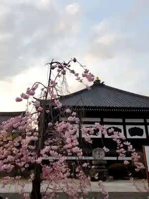如宝寺(福島県)