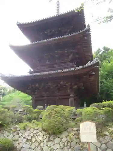 園城寺（三井寺）の建物その他