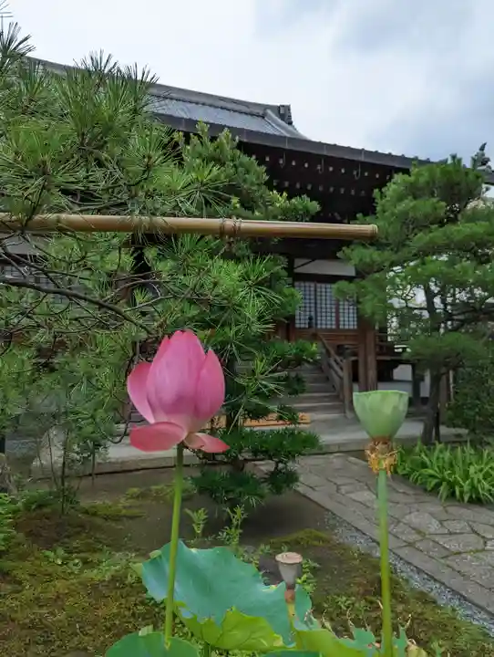 佛陀寺(京都府)