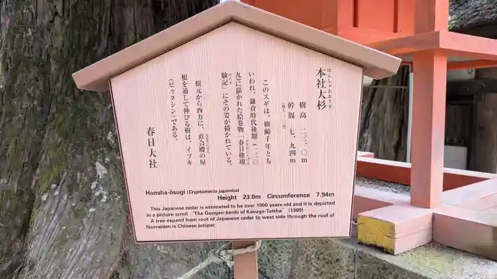 春日大社(奈良県)