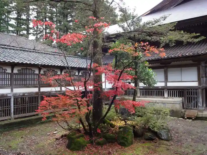 井波別院瑞泉寺の自然