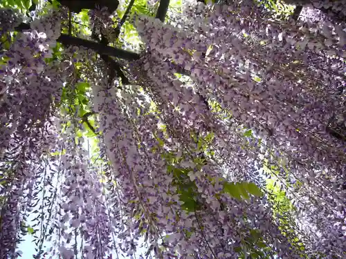 玉敷神社の庭園