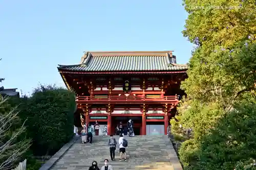 鶴岡八幡宮の山門・神門