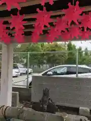 姫嶋神社の建物その他