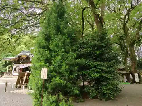 大宮八幡宮(東京都)