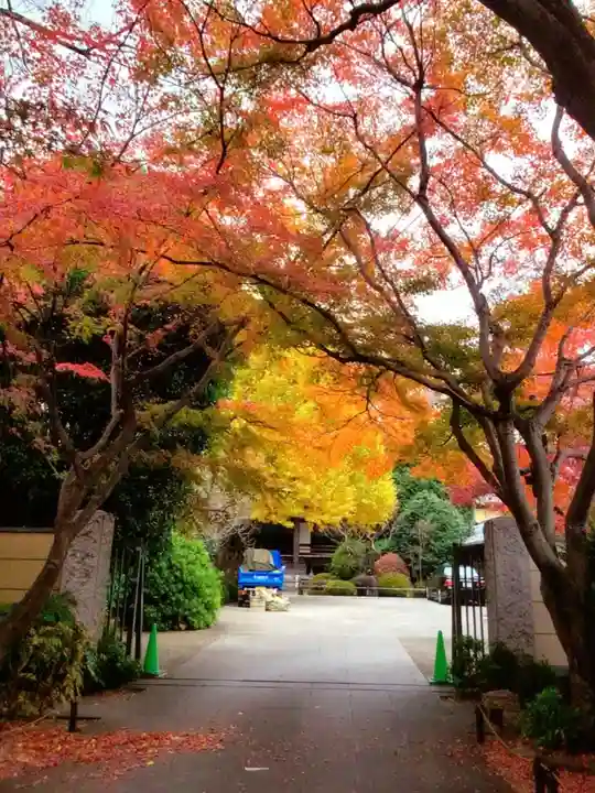高円寺(東京都)