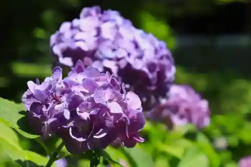  智積院(京都府)