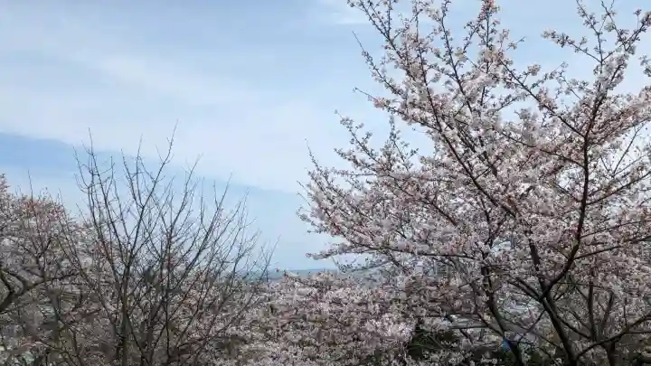 園城寺(三井寺)(滋賀県)