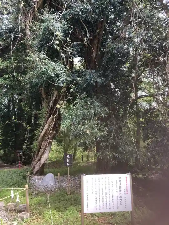 伊佐須美神社(福島県)